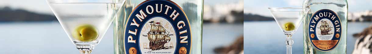 Plymouth Gin