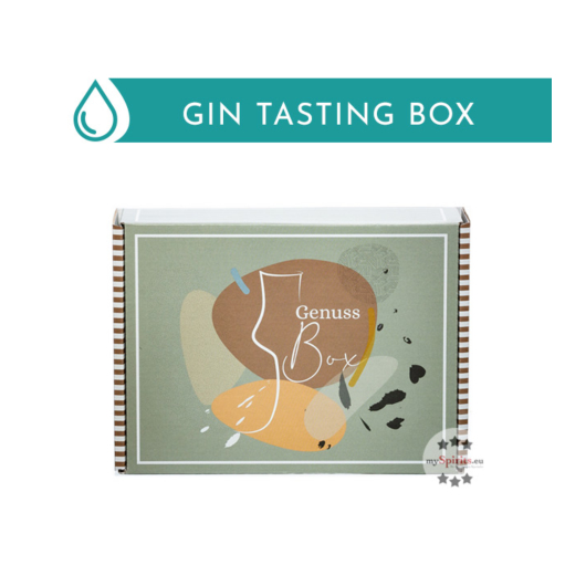 Gin Tasting Set: Gin Tonic Perfect Match Probierset / 41–47,3 % Vol. / 10x 0,02l & 2x 0,2l (inkl. 0,30€ Pfand) in Genuss-Box