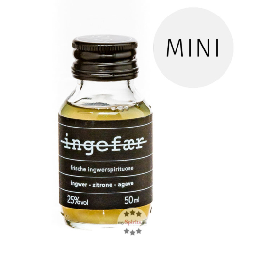 Heimat ingefaer Shot Ingwer-Spirituose Mini / 25 % Vol. / 0,05 Liter-Flasche