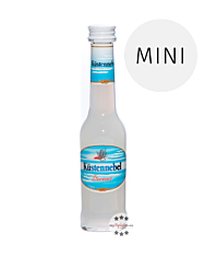 Küstennebel Sternanis Likör Mini von Waldemar Behn / 21,8 % Vol. / 0,04 Liter-Flasche