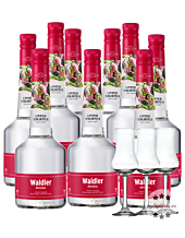 9 x Unterthurner Waldler Original im Vorteilspaket / 39 % vol. / 9 x 0,7 L + 3 x mySpirits Schnapskelch