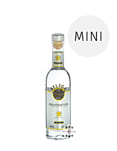 Beluga Noble Russian Vodka Miniatur / 40 % Vol. / 0,05 Liter-Flasche