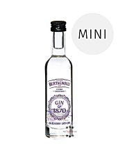 Bertagnolli Gin 1870 Blueberry Dry Gin Mini / 40 % vol / 0,05 Liter-Flasche 