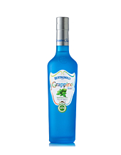 Bertagnolli Grappino Twist Basilico & Lime / 28 % vol / 0,5 Liter-Flasche