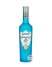 Bertagnolli Grappino Twist Camomilla & Sambuco / 28 % vol / 0,5 Liter-Flasche