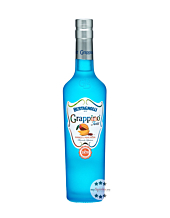 Bertagnolli Grappino Twist Mango & Pepe Rosa / 28 % vol / 0,5 Liter-Flasche