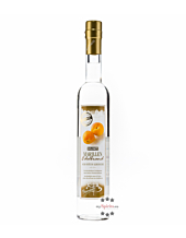 Dolomiti: Marillen Edelbrand / 40% Vol. / 0,5 Liter