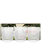 Don Papa Glas Set mit 3 Tumblern / je ca. 350 ml / Ø ca. 7,8 cm / H: ca. 10 cm / 3 Gläser in Dekobox