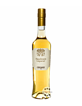 Freihof Haselnuss Liqueur – Haselnuss-Likör aus Österreich / 22,5 % vol. / 0,5 Liter-Flasche