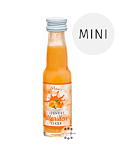 Prinz Joghurt-Marillen Likör Miniatur / 15 % Vol. / 0,02 Liter-Flasche