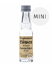 Löwen: Rehmer Zwetschgen Brand / 42% Vol. / 0,02 Liter - Flasche