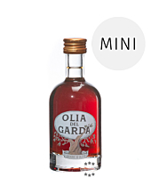 Marzadro: Olia del Garda Oliven-Likör / 40 % Vol. / 0,05 Liter-Flasche