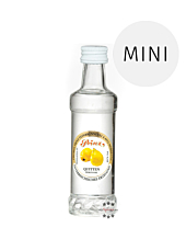 Prinz: Quitten-Schnaps Miniatur / 40 % Vol. / 0,04 Liter-Flasche