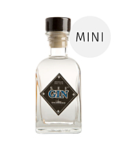 Dry Gin - günstig Miniaturen kaufen in bei