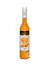 Torboli Crema di Melone Melonenlikör / 17 % Vol. / 0,5 Liter-Flasche