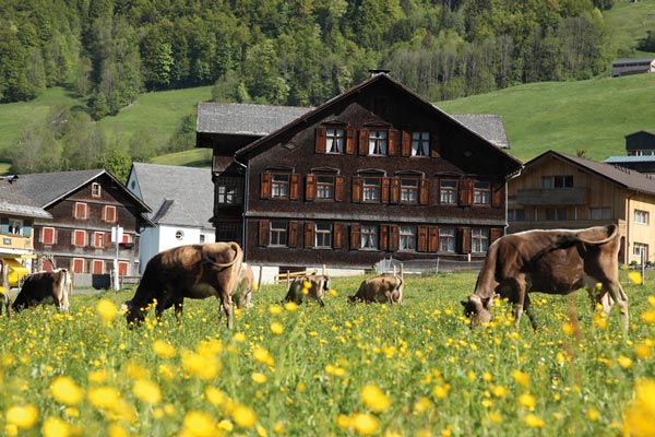 Bergbrennerei Löwen in Bregenzerwald - Kräuter- und Fruchtspezialitäten. Hergestellt nach alter handwerklicher Tradition