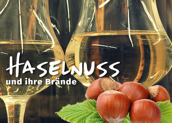 Die Haselnuss: Von der kleinen Nuss zum aromatischen Brand