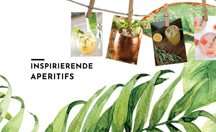 4 einfache Rezepte für inspirierende Aperitifs