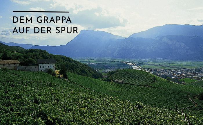 Italien Tour - Dem Grappa auf der Spur