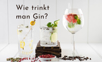 Wie trinkt man Gin?