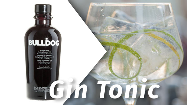 Bulldog London Dry Gin als starker Partner im Gin and Tonic