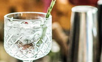 Bester Gin - Unsere top 10 der besten Gins