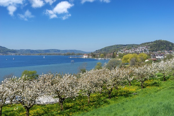 Schnapsbrennen in der Bodensee-Region