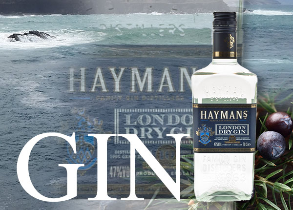 Hayman's Gin kaufen