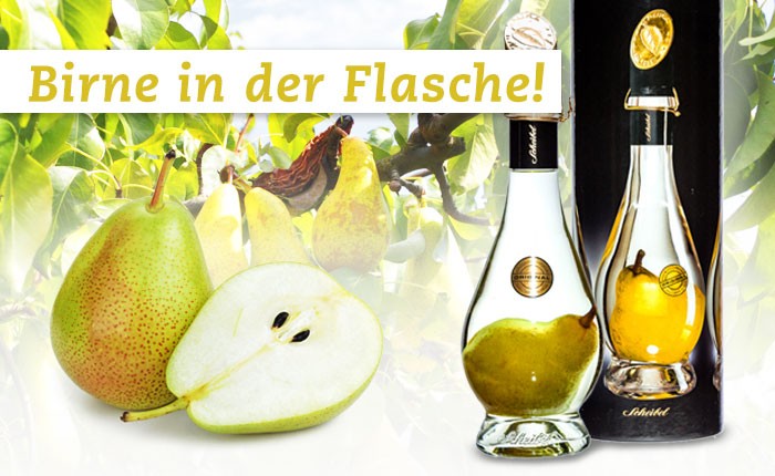 Wie Kommt Die Birne In Die Flasche Myspirits Eu