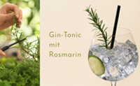 Gin Tonic und Rosmarin