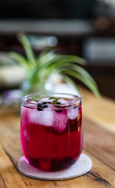 Blueberry Gin Cocktail