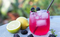 Gin Bramble: Rezepte für Cocktails mit Beeren