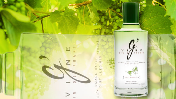 G'Vine Floraison Gin im Shop von mySpirits.eu