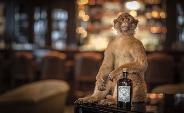 Monkey 47 Schwarzwald Dry Gin 