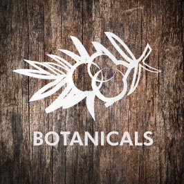 Gin Botanicals wie Klassische Wacholderbeeren, Fruchtige Botanicals oder Gin-Vielfalt