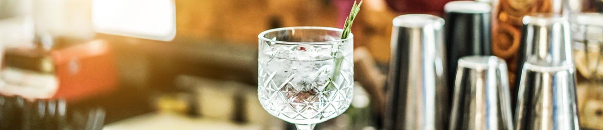 Die Top 10 der besten Gins - Monkey 47, Tanqueray oder Hendricks