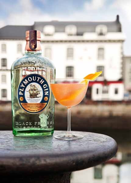 Probieren Sie Pink Gin mit Plymouth Gin