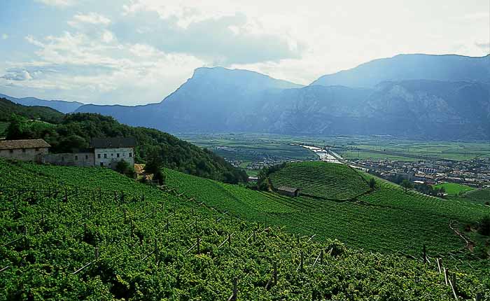 Grappa aus Italien - ein Gaumenschmaus