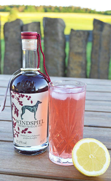 Windspiel Sloe Gin Fizz Cocktail